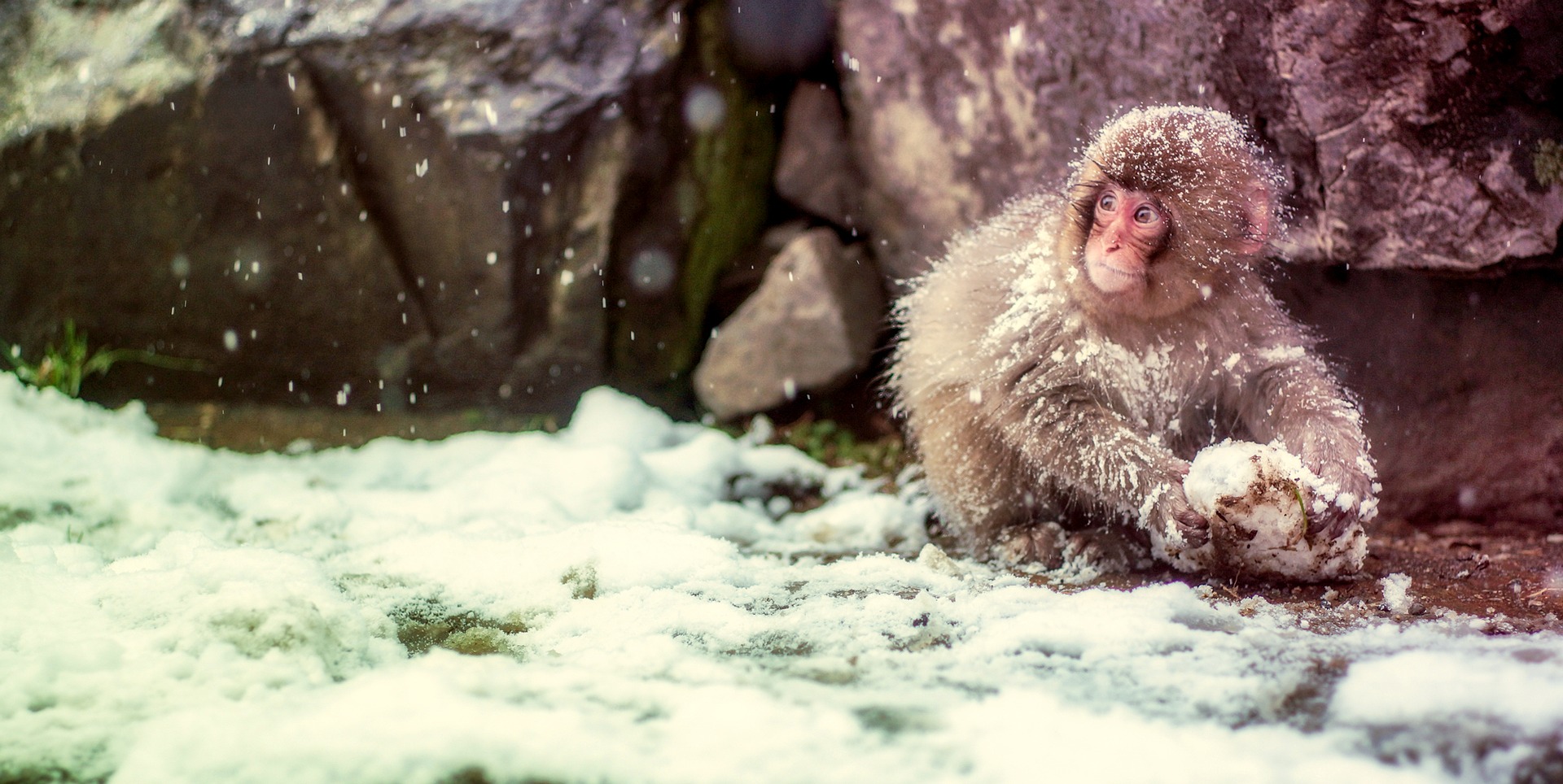 Guía para viajar a Japón en invierno: consejos y qué visitar