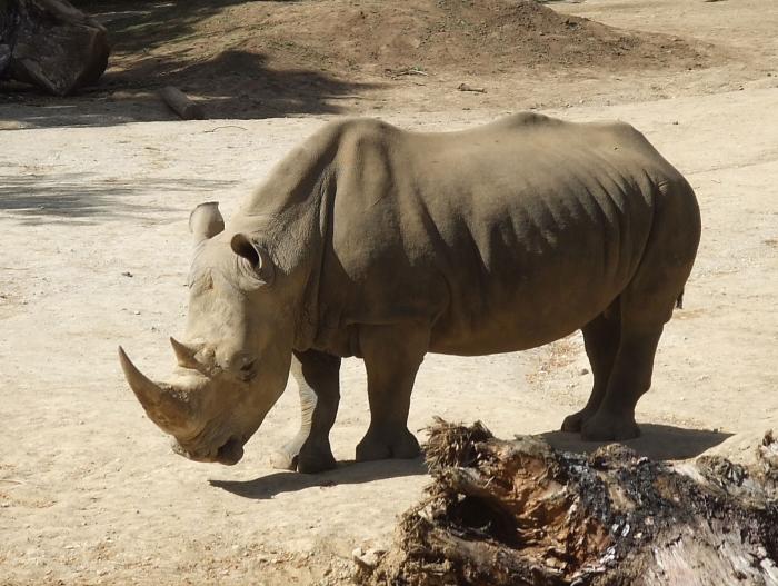 Hamilton Zoo