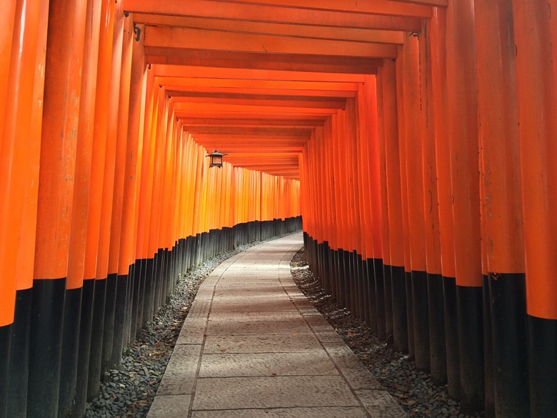 Camino con torii dirección Fushimi Inari-taisha