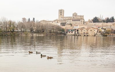Viajar a Zamora en Noviembre: Qué ver y qué visitar