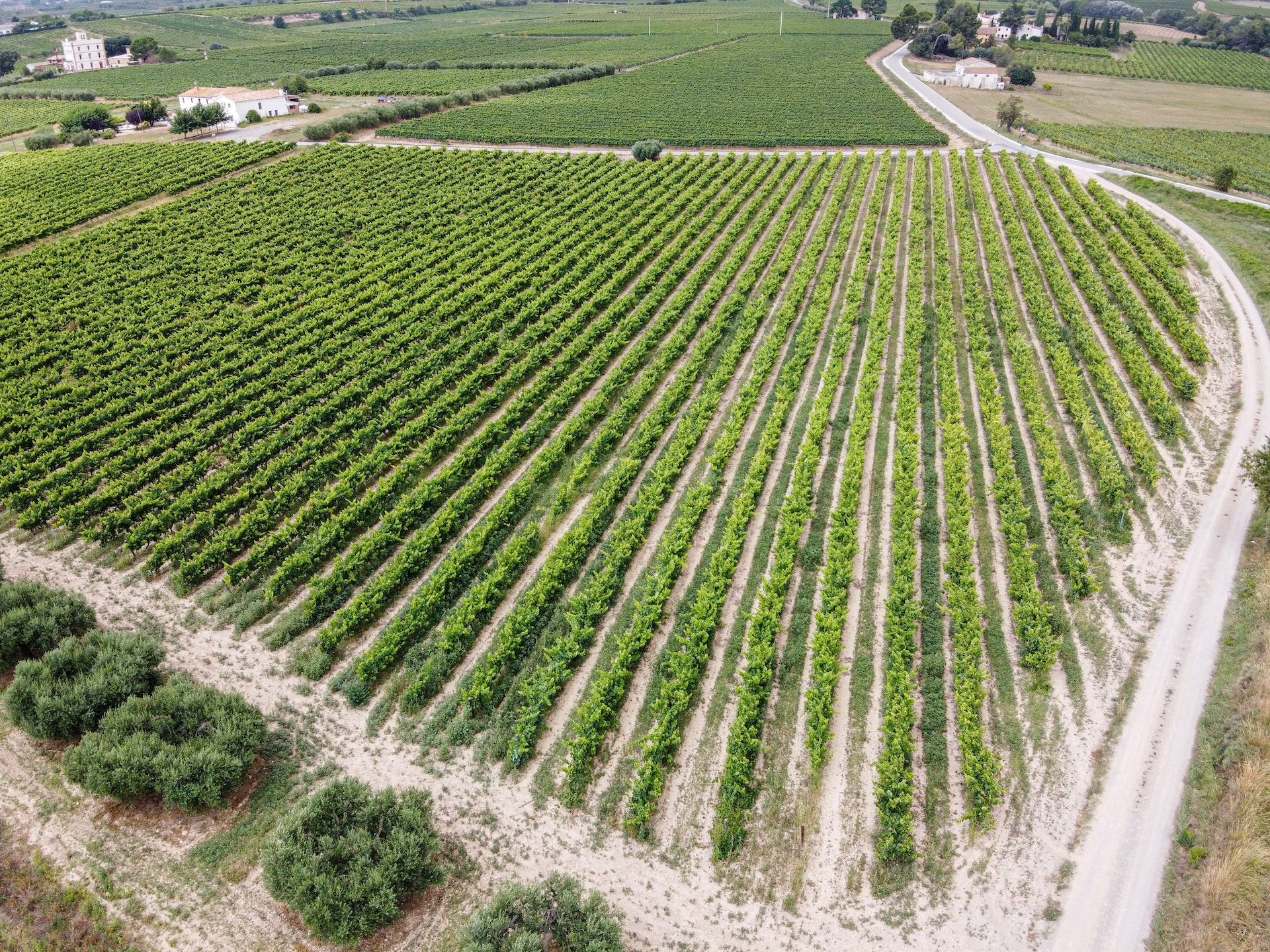 Vilafranca del Penedès